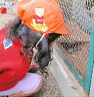 ������Ȃ�